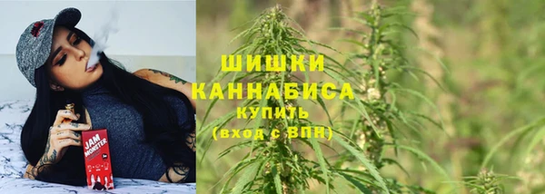 ALPHA PVP Дмитриев