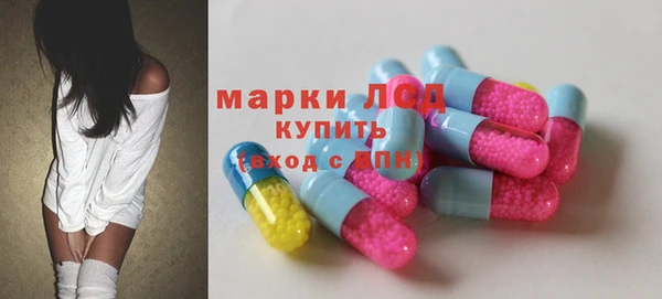 ECSTASY Гусев