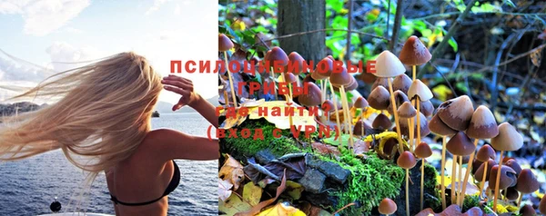 герыч Гусь-Хрустальный