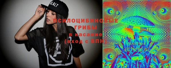 ECSTASY Гусев