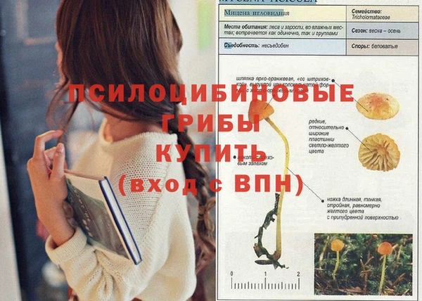 ECSTASY Гусев