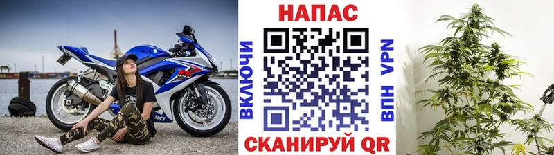 Купить где  Ряжск  Бошки Шишки семена 